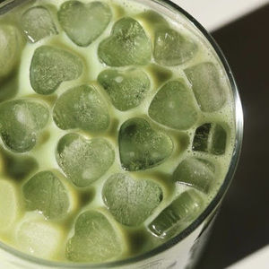 Meet your Posher, Lily